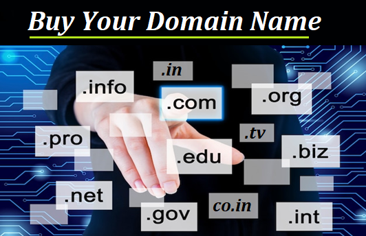 Domain Sales