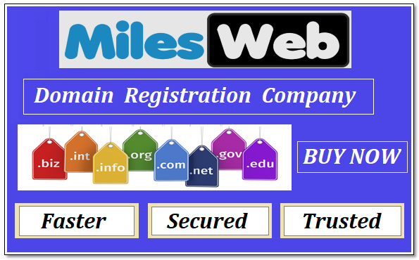Domain Name