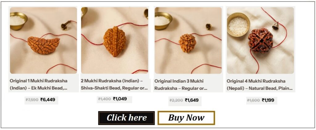 Rudraksha-1