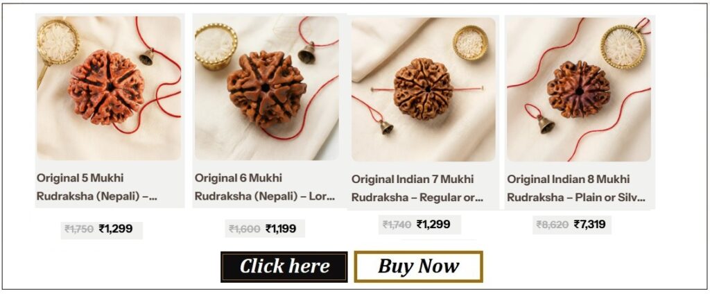 Rudraksha-2