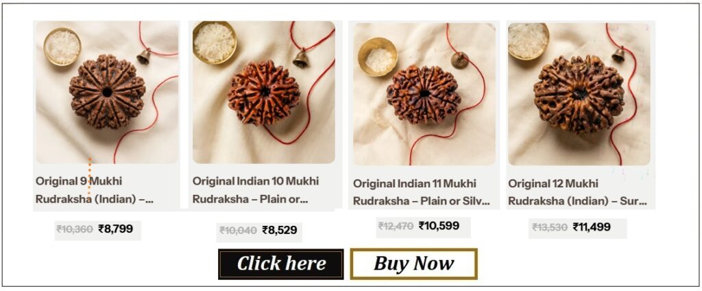 Rudraksha-3